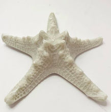 Load image into Gallery viewer, Starfish Stand
