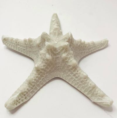 Starfish Stand