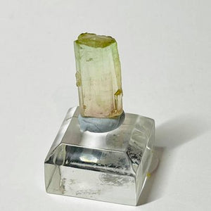 Watermelon Tourmaline Raw Specimen # 102