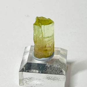 Watermelon Tourmaline Raw Specimen # 187