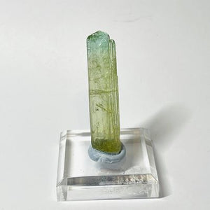 Watermelon Tourmaline Raw Specimen # 195