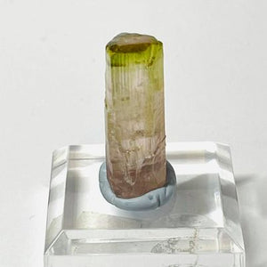 Watermelon Tourmaline Raw Specimen # 96